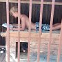 Hisilicon Balong